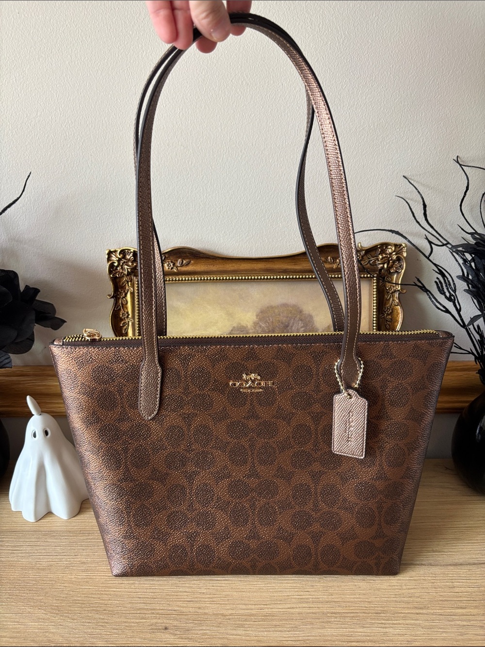Coach Fiona Tote in Brown Copper